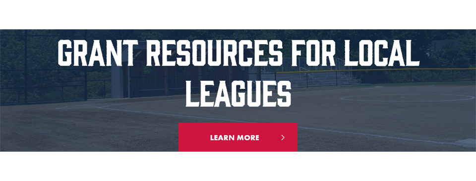 district 51 little league all stars