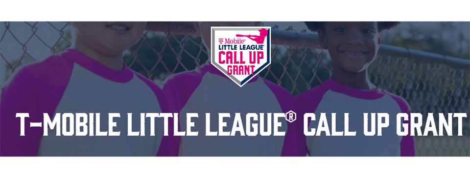 district 51 little league all stars